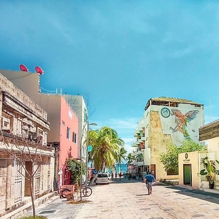 Lezzoto 2.5 Beach Playa del Carmen Eksteriør billede